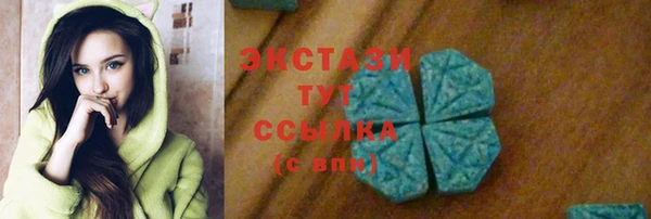стаф Верея