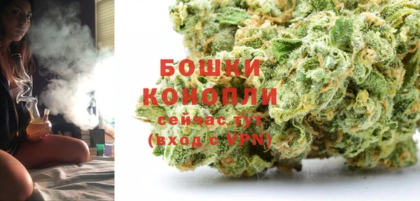 стаф Володарск