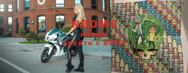 гидра Верхний Тагил