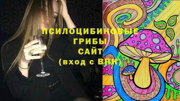 гидра Верхний Тагил