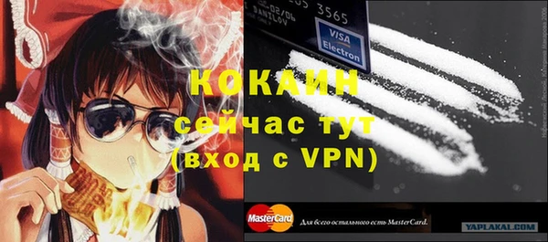 стаф Верея