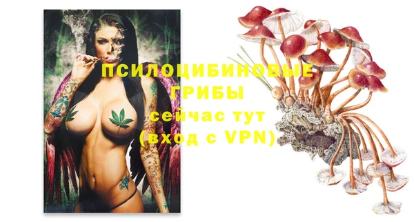 стаф Верея