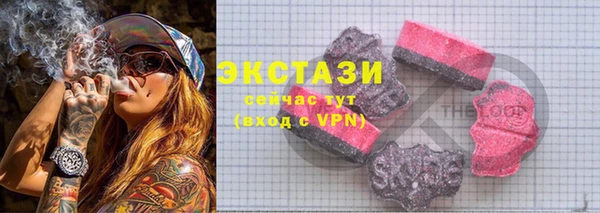 гидра Верхний Тагил