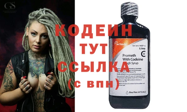 гидра Верхний Тагил