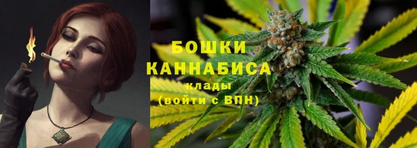 стаф Верея
