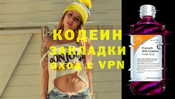 стаф Верея